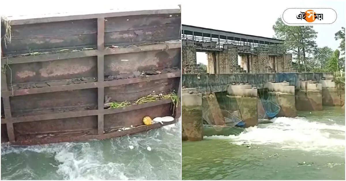 DVC Barrage Durgapur : প্রবল জলের তোড়ে ভেঙে গেল লক গেট, দুর্গাপুরে ব্যাপক বিপত্তি – dvc barrage durgapur bardhaman feeder canal lock lock gate damaged and irrigation department starts inspection