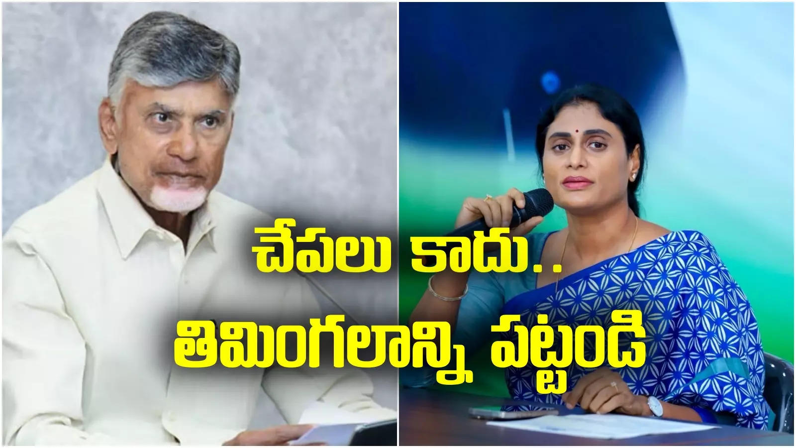 తీగలు కాదు.. డొంకలు కదలాలి.. తిమింగళాన్ని పట్టాలి.. చంద్రబాబుకు షర్మిల సలహా