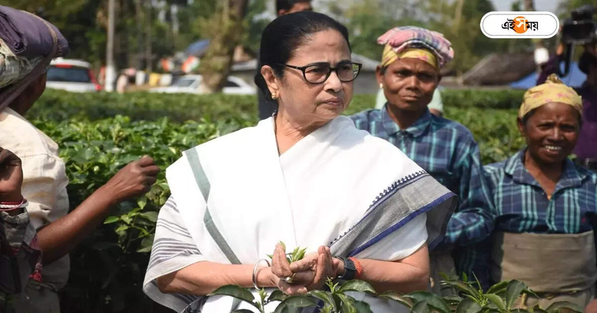 উত্তরবঙ্গে বিপর্যস্তদের বাড়ি তৈরির জন্য উদ্যোগী মমতা, অনুমতি চেয়ে কমিশনের দ্বারস্থ রাজ্য – mamata banerjee intended to make home for north bengal disaster affected family