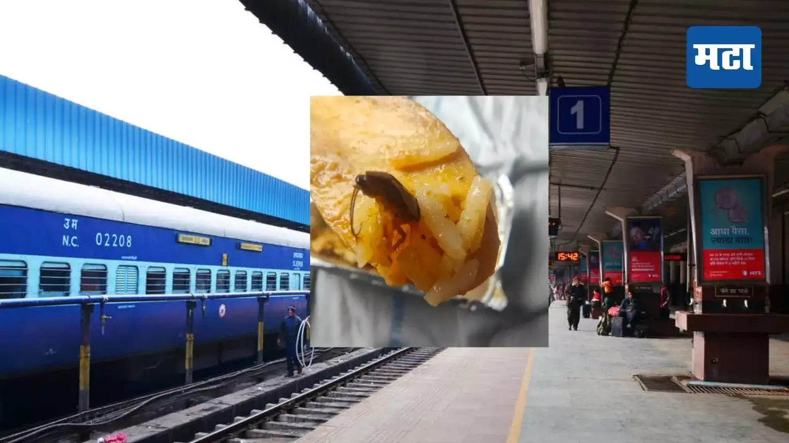 नागपूर स्टेशनवर ट्रेन थांबली, प्रवाशानं बिर्याणी विकत घेतली, पण पॅकेट उघडताच पाहिलं झुरळ नागपूर स्टेशनवर ट्रेन थांबली, प्रवाशानं बिर्याणी विकत घेतली, पण पॅकेट उघडताच पाहिलं झुरळ