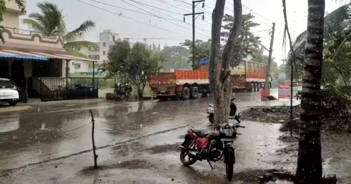 सांगलीत पावसाचं कमबॅक, चांदोली, कोयना धरण क्षेत्रात बॅटिंग, शेतकऱ्यांसाठी गुड न्यूज