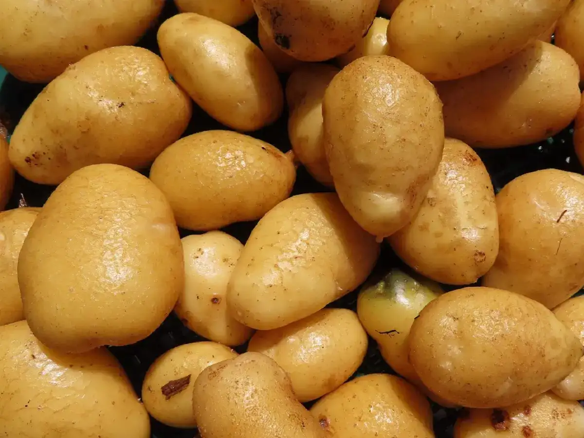 உருளைக் கிழங்கு விலை உயர்வு.. காய்கறி விலை நிலவரம்! 