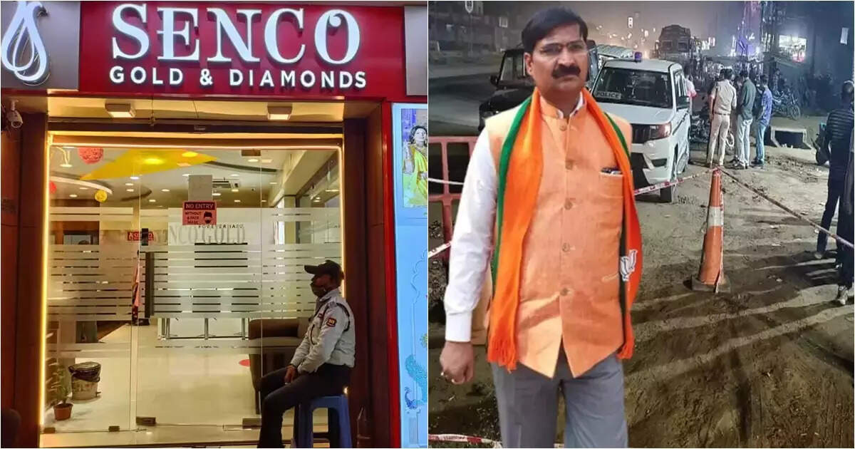 সেনকোয় ডাকাতিতে জড়িয়ে রাজু ঝা খুনে অভিযুক্ত শার্প শ্যুটার! রানাঘাট কাণ্ডে চাঞ্চল্যকর মোড়