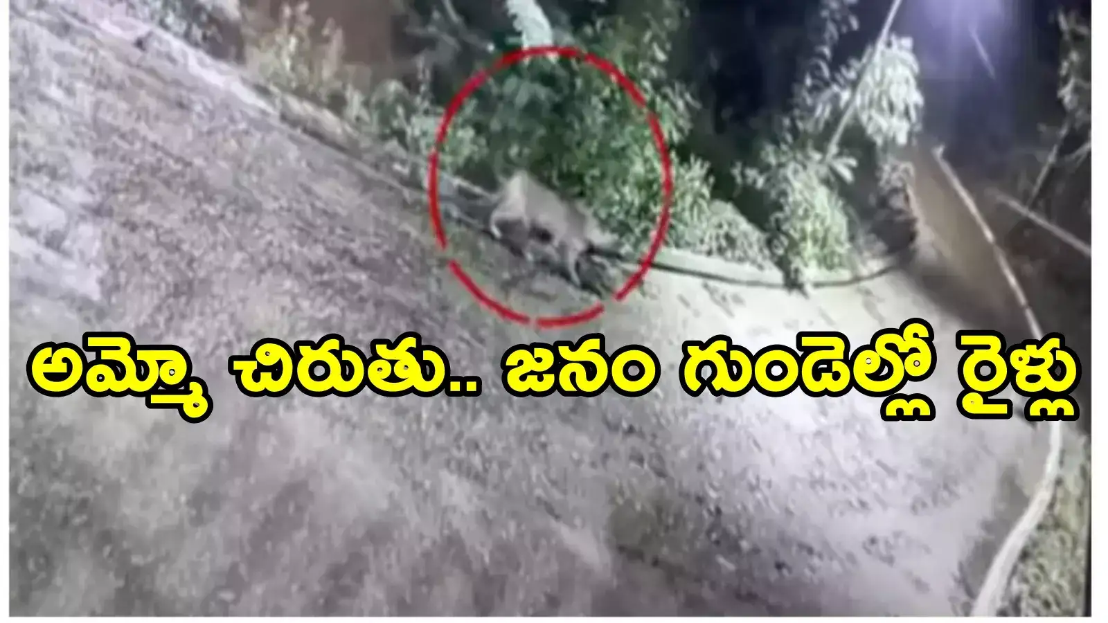 Cheetah: రాజమండ్రిలో చిరుత భయం.. సాయంత్రం వేళ బయటకెళ్లొదని హెచ్చరికలు