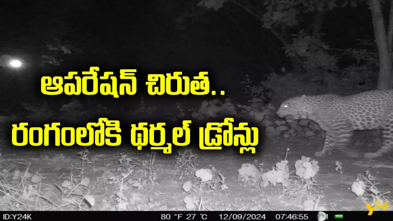 రాజమండ్రిలో చిక్కని చిరుత.. భయం గుప్పిట్లో శివారు ప్రాంతాలు..