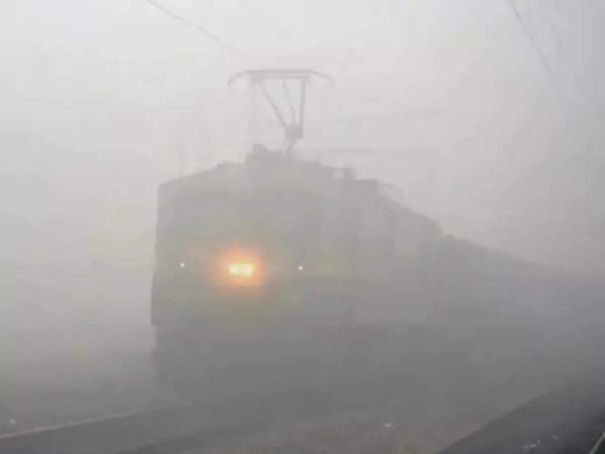 MP Weather Update: Fog created havoc in MP, no effect of cold was seen, now rain will welcome the new year