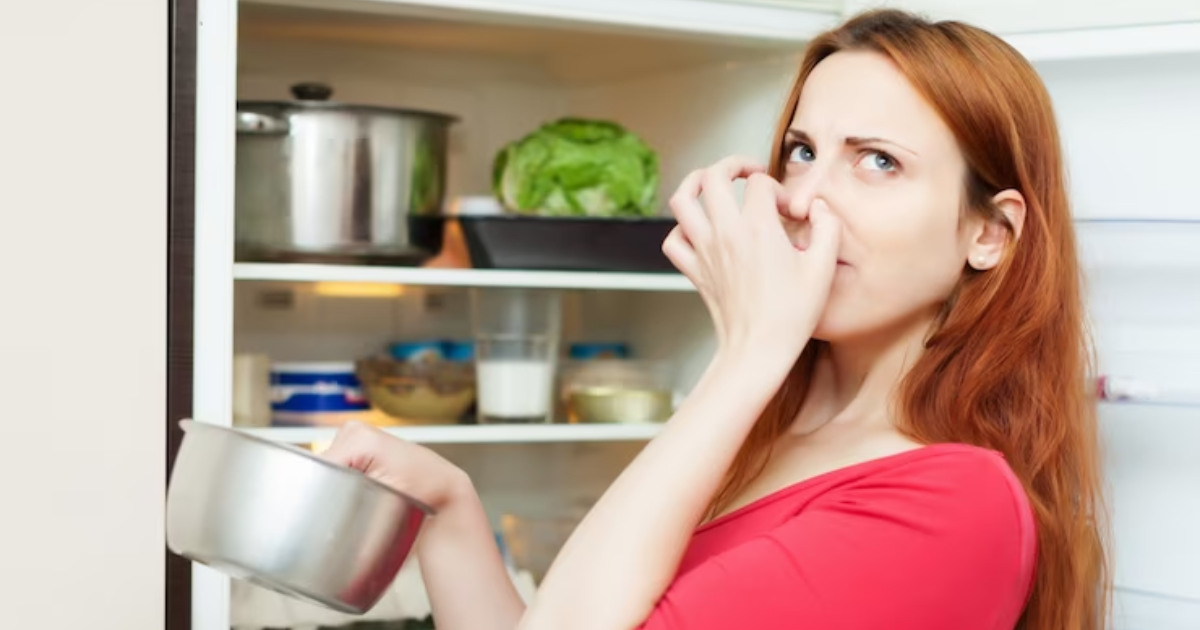 Why does the fridge smell?  If you know the reason, then you will get angry on yourself.