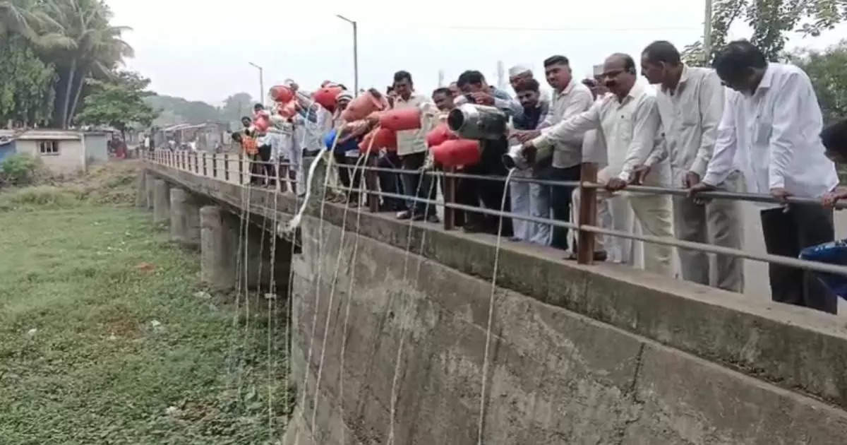 चारा आणि खाद्याचे दर वाढले पण दूध दर घसरले, शेतकरी आक्रमक, शेकडो लीटर दूध नदीत ओतलं