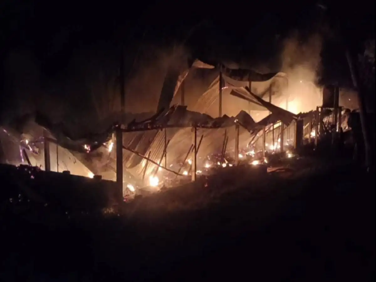 காஞ்சிபுரம்- கோழி பண்ணையில் பற்றி எரிந்த தீ; 3000 கோழிகள் உயிரிழப்பு! 