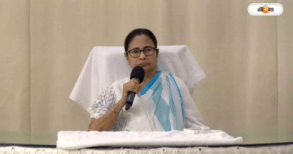 Mamata Banerjee : ‘বলতে বাধ্য হচ্ছি…’, জ্যোতিপ্রিয়র বাড়িতে ED অভিযান নিয়ে মুখ খুললেন মমতা – mamata banerjee west bengal chief minister opens up on minister jyotipriya mallick house ed raid