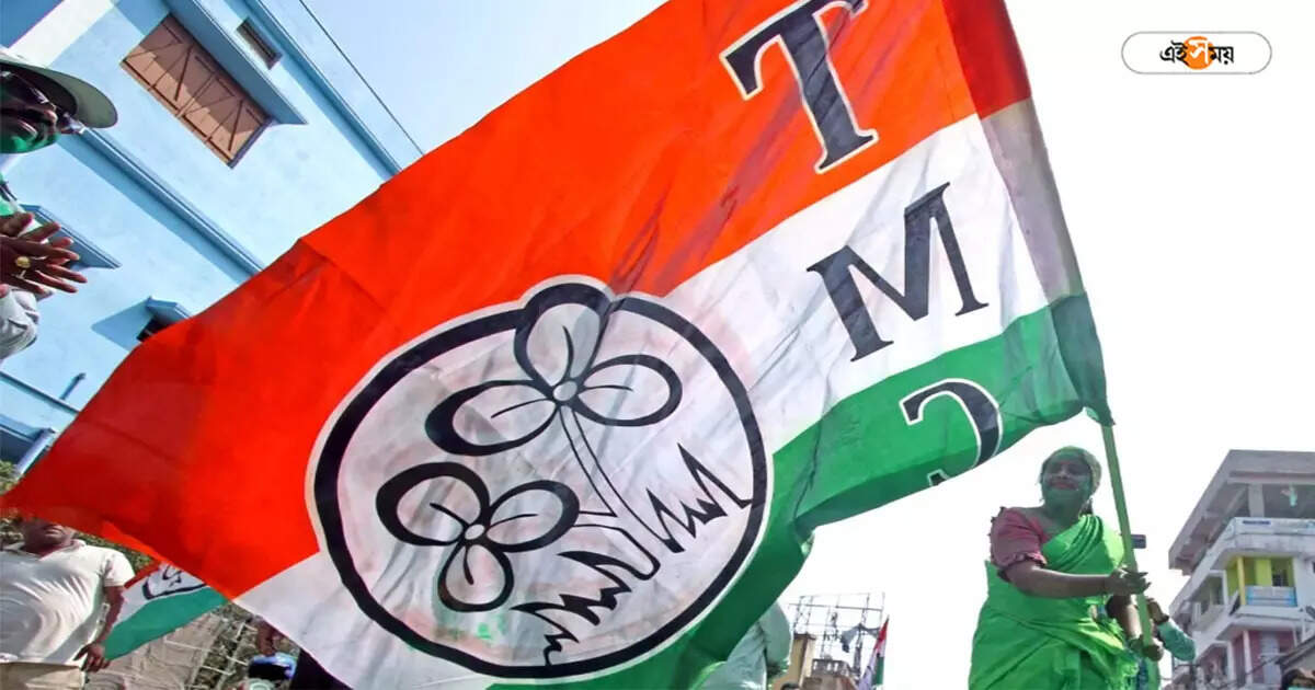Trinamool Congress : উলুবেড়িয়ায় পিছিয়ে থাকা ওয়ার্ডগুলোতে খামতি কোথায়? পর্যালোচনা শুরু তৃণমূলে – tmc will review cause for getting less vote in uluberia municipality several ward