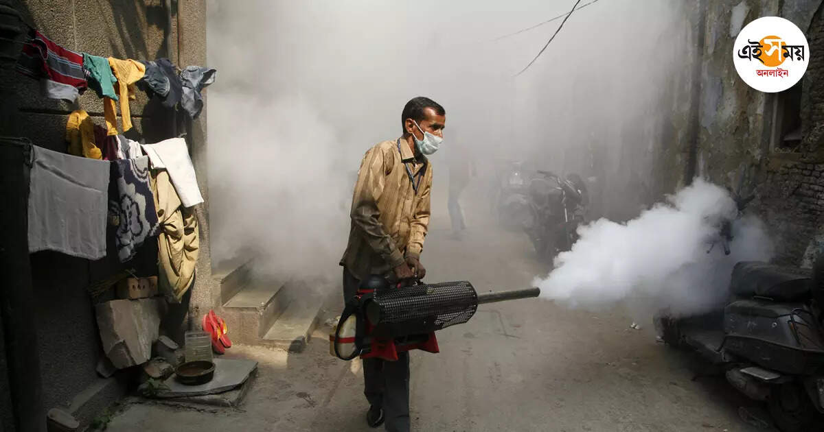 Dengue Fever,আক্রান্ত কমলেও ডেঙ্গি নিয়ে কড়া বিধাননগর পুরনিগম – bidhannagar puranigam take strict action about dengue