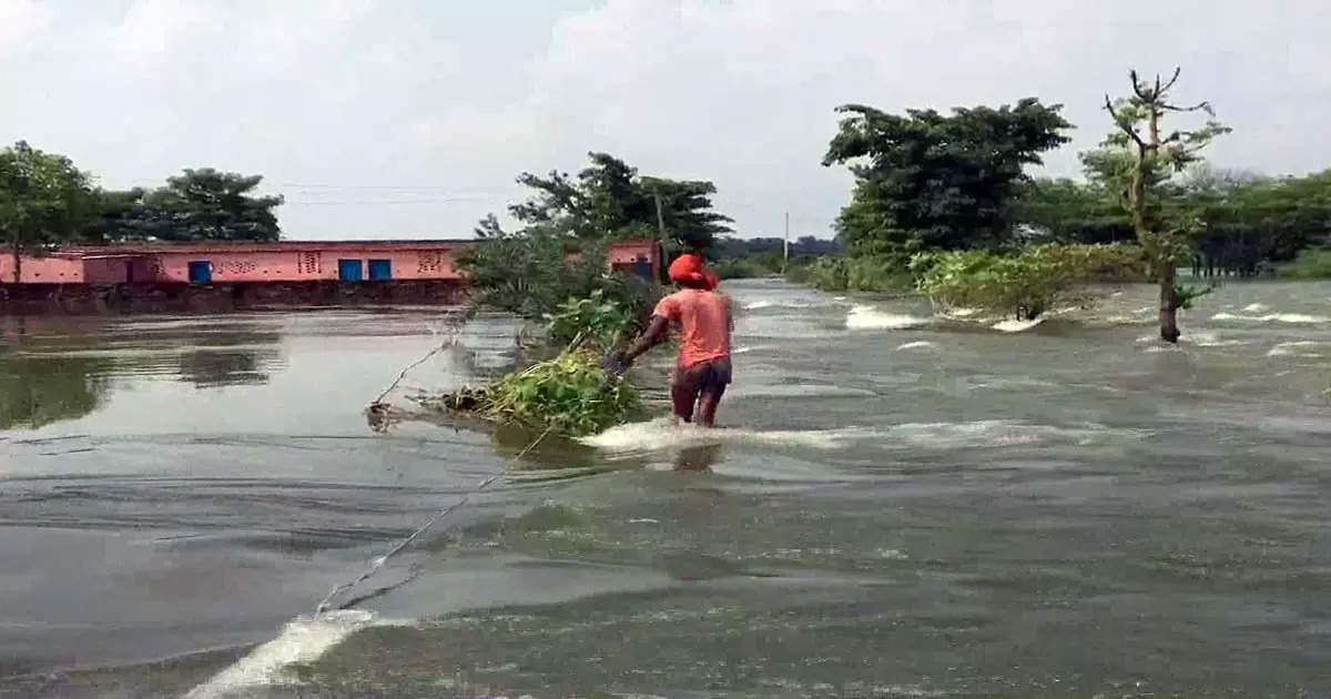 Bihar Floods: बिहार में बाढ़ ने 2021 में लील लीं सबसे ज्यादा जिंदगियां,  जानिए क्या आया है ताजा रिपोर्ट में - bihar records highest number of deaths  due to 2021 floods ncrb