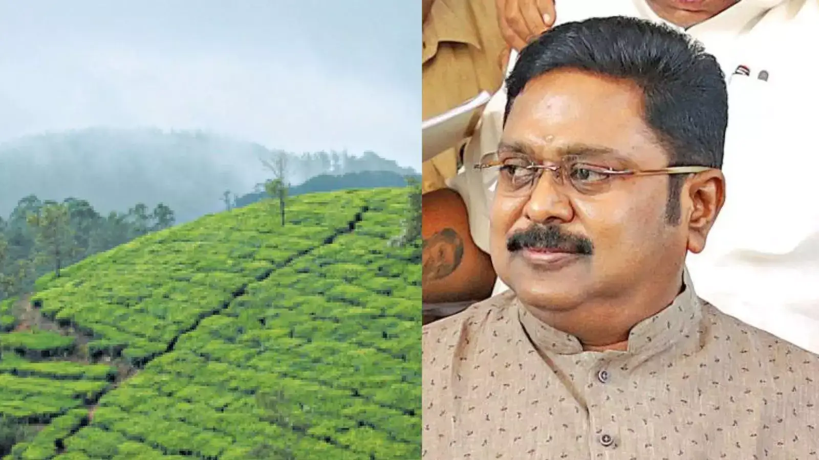 பூதாகரமாகும் மாஞ்சோலை எஸ்டேட் விவகாரம் : தமிழக அரசுக்கு தினகரன் வைத்த கோரிக்கை! 