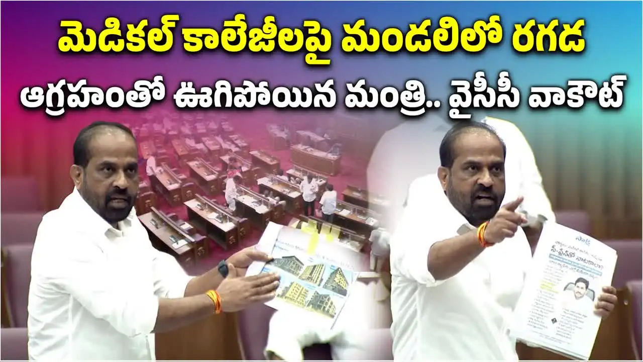 వైసీపీ అబద్దాలు చెబుతోంది.. మంత్రి సత్యకుమార్ ఆగ్రహం