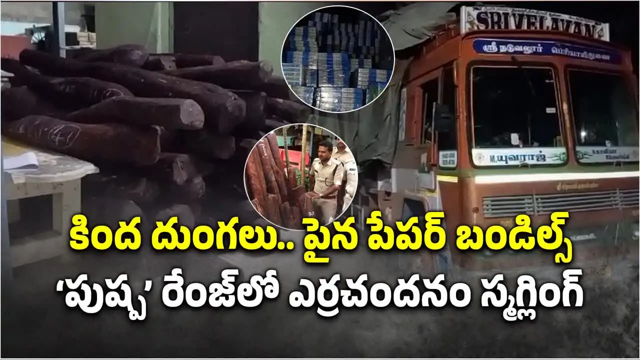 వీళ్లు మామూలోళ్లు కాదు.. ఎర్ర చందనం స్మగ్టింగ్‌లో పుష్పను మించిపోయారు!