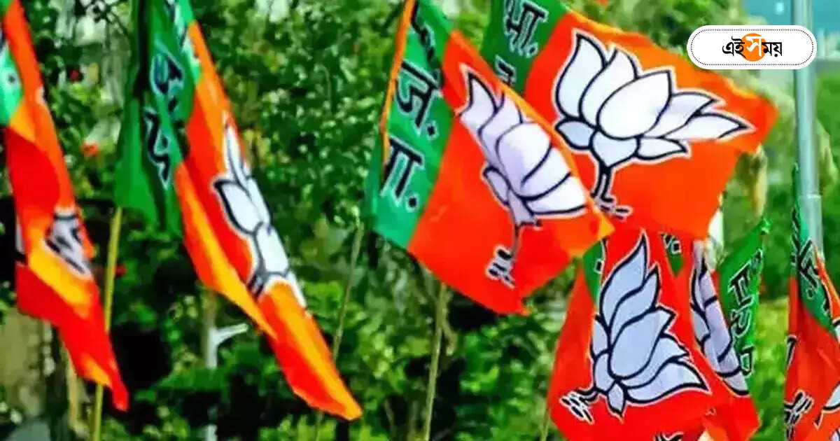 West Bengal BJP : বার্তা দিলেও ময়দানে অ্যাক্টিভ হবেন বঙ্গ-বিজেপির নিষ্ক্রিয়রা? – bharatiya janata party campaign to inactive workers ahead of lok sabha election