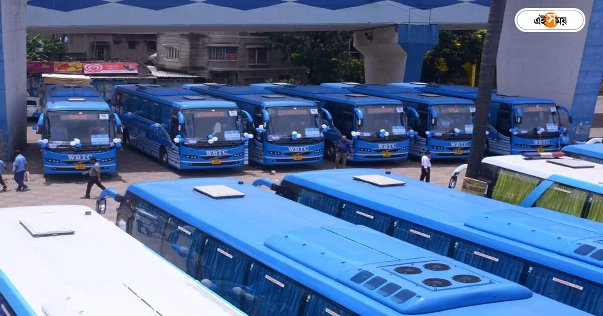Kolkata To Raidighi Bus : রায়দিঘিতে গড়ে উঠছে বাস টার্মিনাস! দিঘা, কলকাতা রুটে চলবে সরকারি বাস – one new bus terminus will be built in raidighi