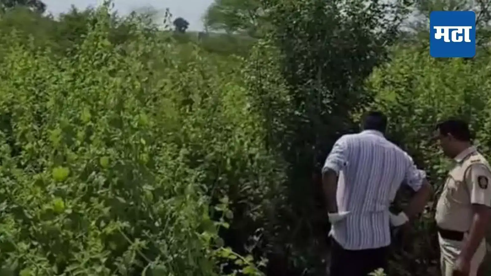 परिसरात दुर्गंधी, पोलिसांना कळवलं आणि भयंकर समोर; आठ महिन्यांची गरोदर महिला झुडपात मृतावस्थेत, काय घडलं? नागपुरात खळबळ परिसरात दुर्गंधी, पोलिसांना कळवलं आणि भयंकर समोर; आठ महिन्यांची गरोदर महिला झुडपात मृतावस्थेत, काय घडलं? नागपुरात खळबळ