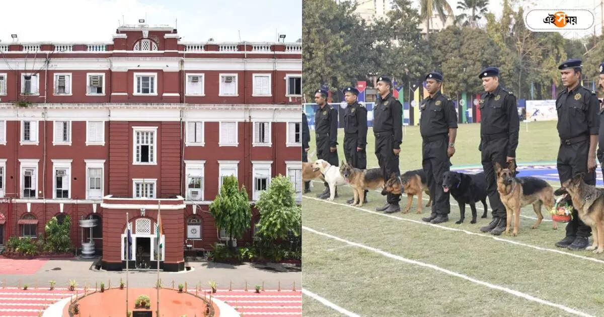Kolkata Police Dog Squad : মাংসের সঙ্গে আরও ১৩ পদ! কলকাতার পুলিশ কুকুরদের জন্য রোজ এলাহি খানা – kolkata police dog squad members getting different types of foods