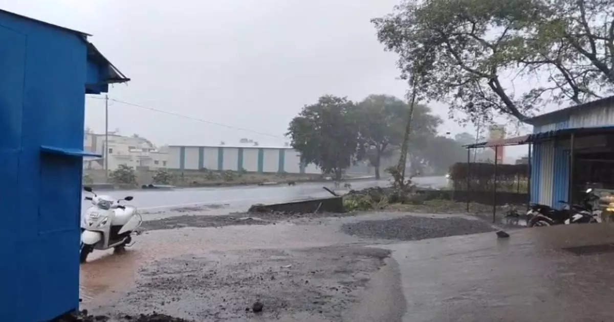 Satara Rain :साताऱ्यात पावसाची हजेरी, रब्बी पिकांना फायदेशीर ठरणार, शेतकऱ्यांना दिलासा