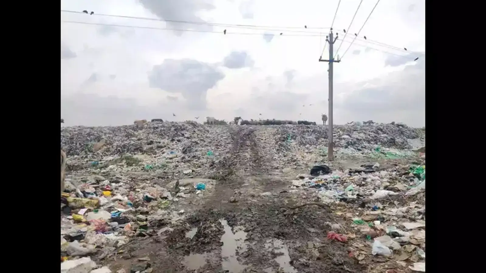 கோவளம் அருகே குப்பை கிடங்கால் மாணவர்கள் கடும் அவதி! 