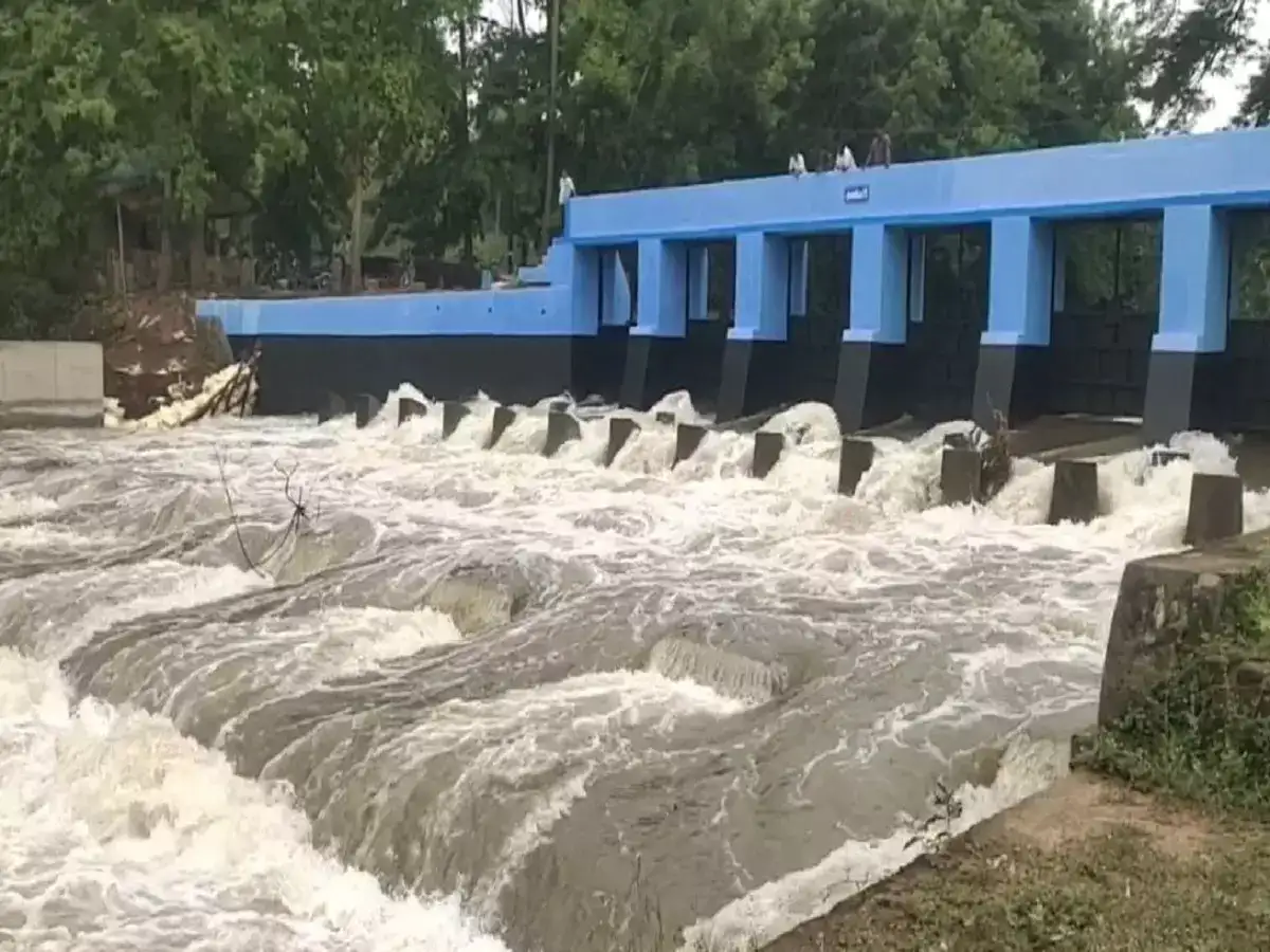 மயிலாடுதுறை வந்த காவிரி நீர்: பெரும் மகிழ்ச்சியில் விவசாயிகள்! 