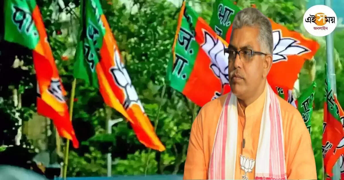 Medinipur By Election,‘উপনির্বাচনে লড়তে চাইনি’, মেদিনীপুর থেকে প্রার্থী না হওয়া নিয়ে মুখ খুললেন দিলীপ – dilip ghosh says he did not wanted to contest in medinipur by election