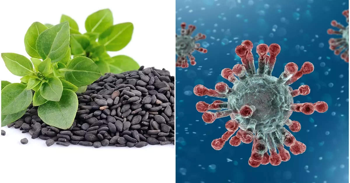 Basil Seeds Benefits