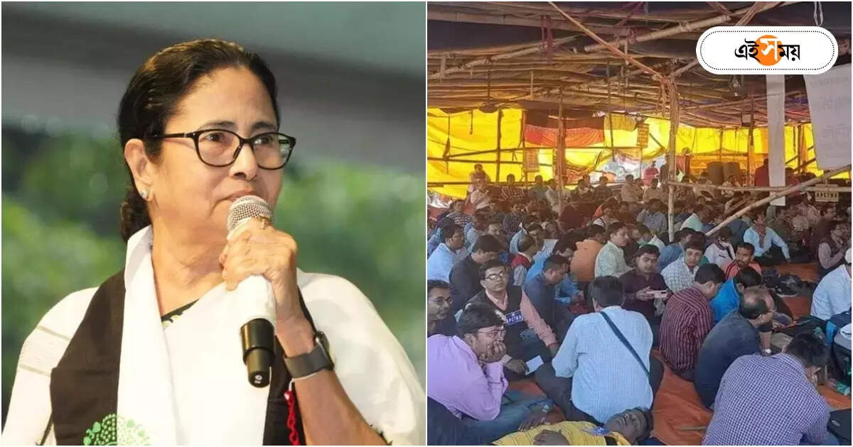DA Movement In West Bengal Today : ‘সংকট কেবল প্রাপ্য দেওয়ার সময়!’ পুজোয় অনুদান বৃদ্ধিতে রাজ্যকে নিশানা DA আন্দোলনকারীদের – da protesters reaction on west bengal government aid increase to durga puja committee