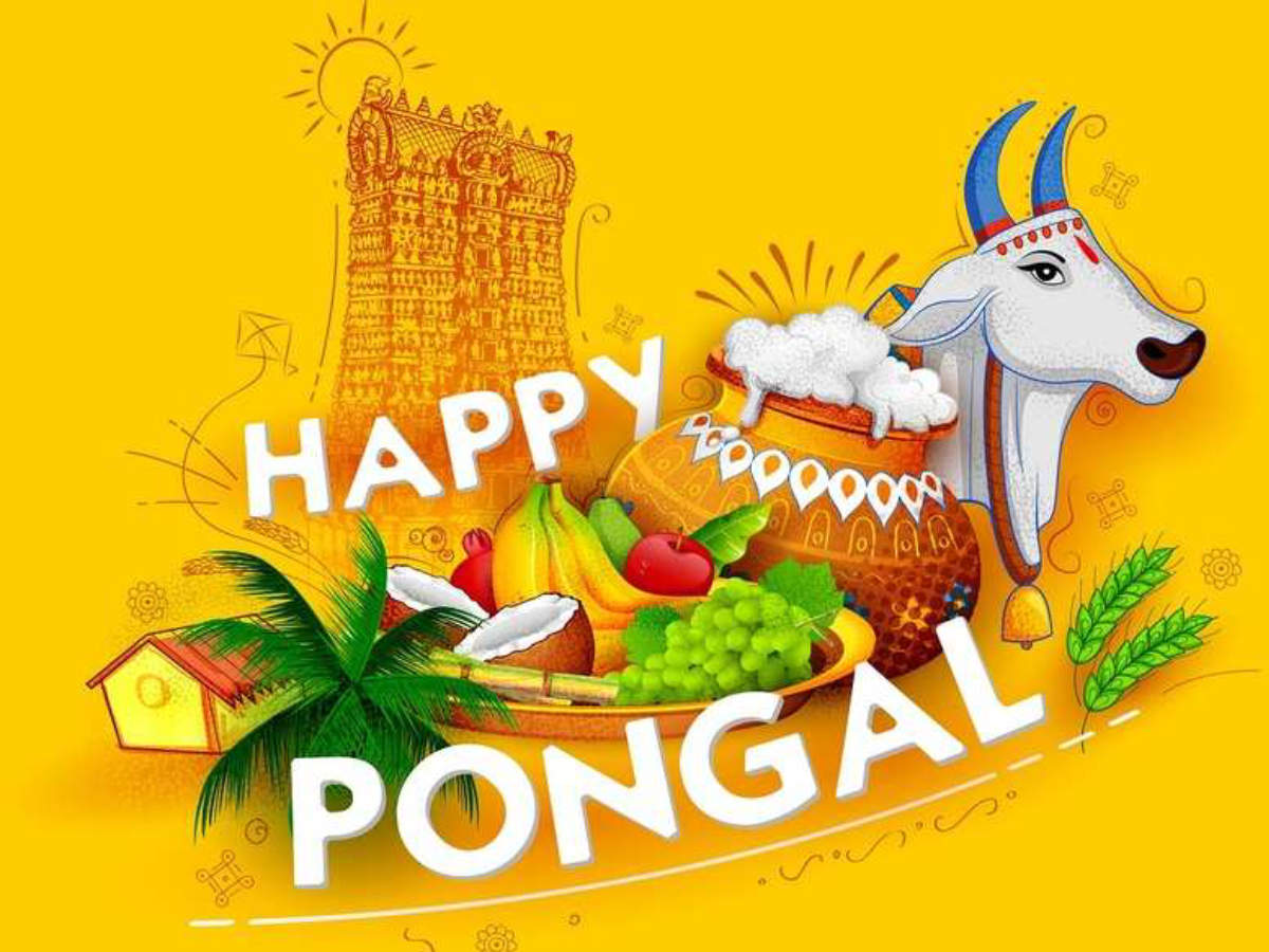 Pongal Wishes 2020,Happy Pongal: பொங்கலோ பொங்கல் ...