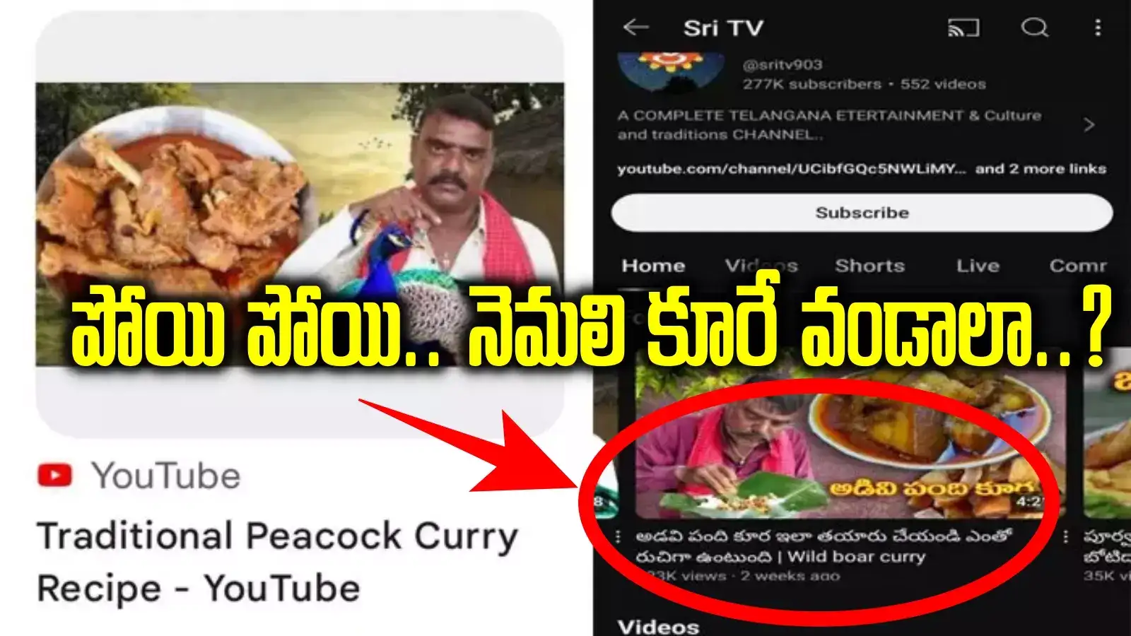 నెమలి కూర వండడం ఎలా..? ఎరక్కపోయి యూట్యూబ్‌లో పెట్టాడు.. ఇరుక్కుపోయాడు..!