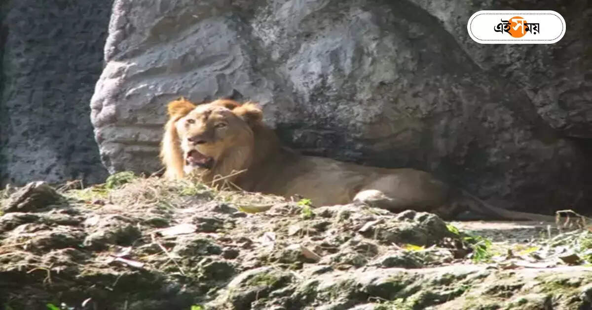 Alipore Zoo : ভিড় সামলাতে প্রস্তুতি আলিপুর জু-তে, আগাম টিকিটেরও ব্যবস্থা – alipore zoo is going to arrange online advance tickets to handle the crowd in december january