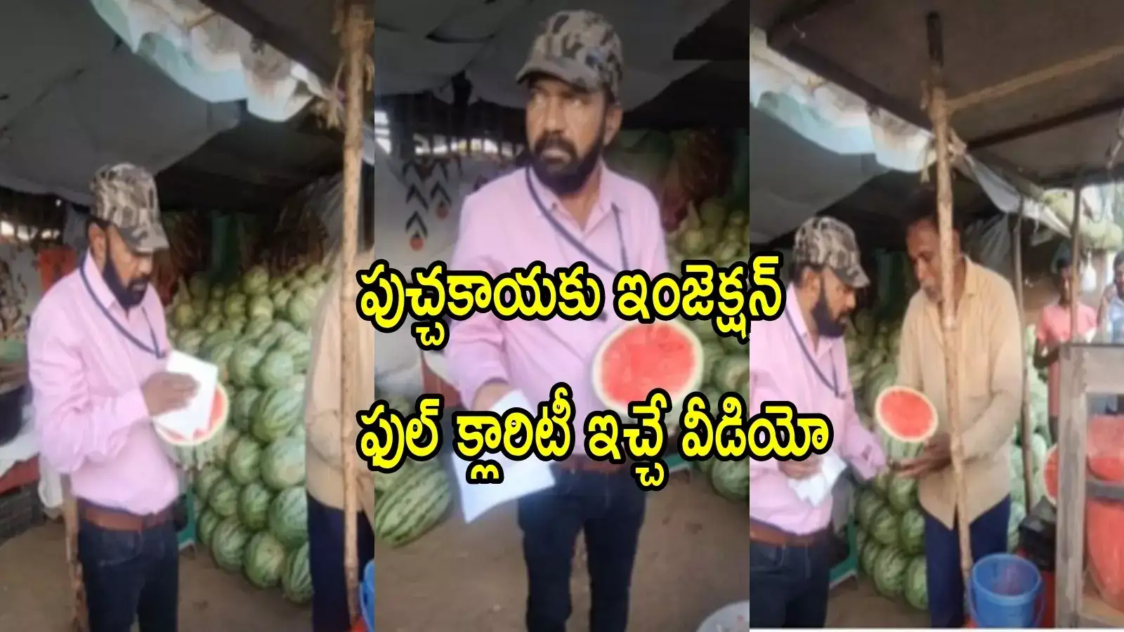 పుచ్చకాయ ఎర్ర రంగులోకి మారడానికి ఇంజెక్షన్ వేస్తారా.. అసలు నిజం ఏంటో ఎంత చక్కగా చెప్పారు