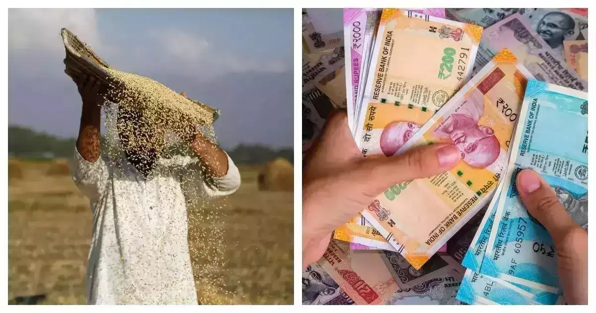 दुष्काळाचं सावट, खरीप उत्पादनात मोठी घट अपेक्षित, बीडमधील १४०२ गावांची पैसेवारी ५० पैशांच्या आत दुष्काळाचं सावट, खरीप उत्पादनात मोठी घट अपेक्षित, बीडमधील १४०२ गावांची पैसेवारी ५० पैशांच्या आत