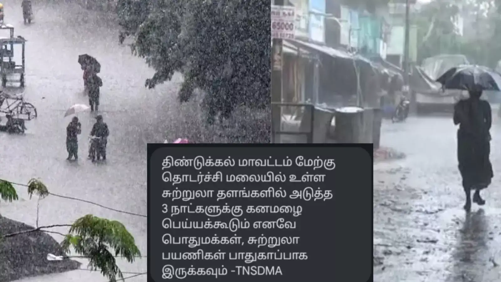 கனமழைக்கு 11 பேர் உயிரிழப்பு.. 4 கோடி பேருக்கு அலெர்ட் மெசெஜ் - தமிழக அரசு தகவல்! 
