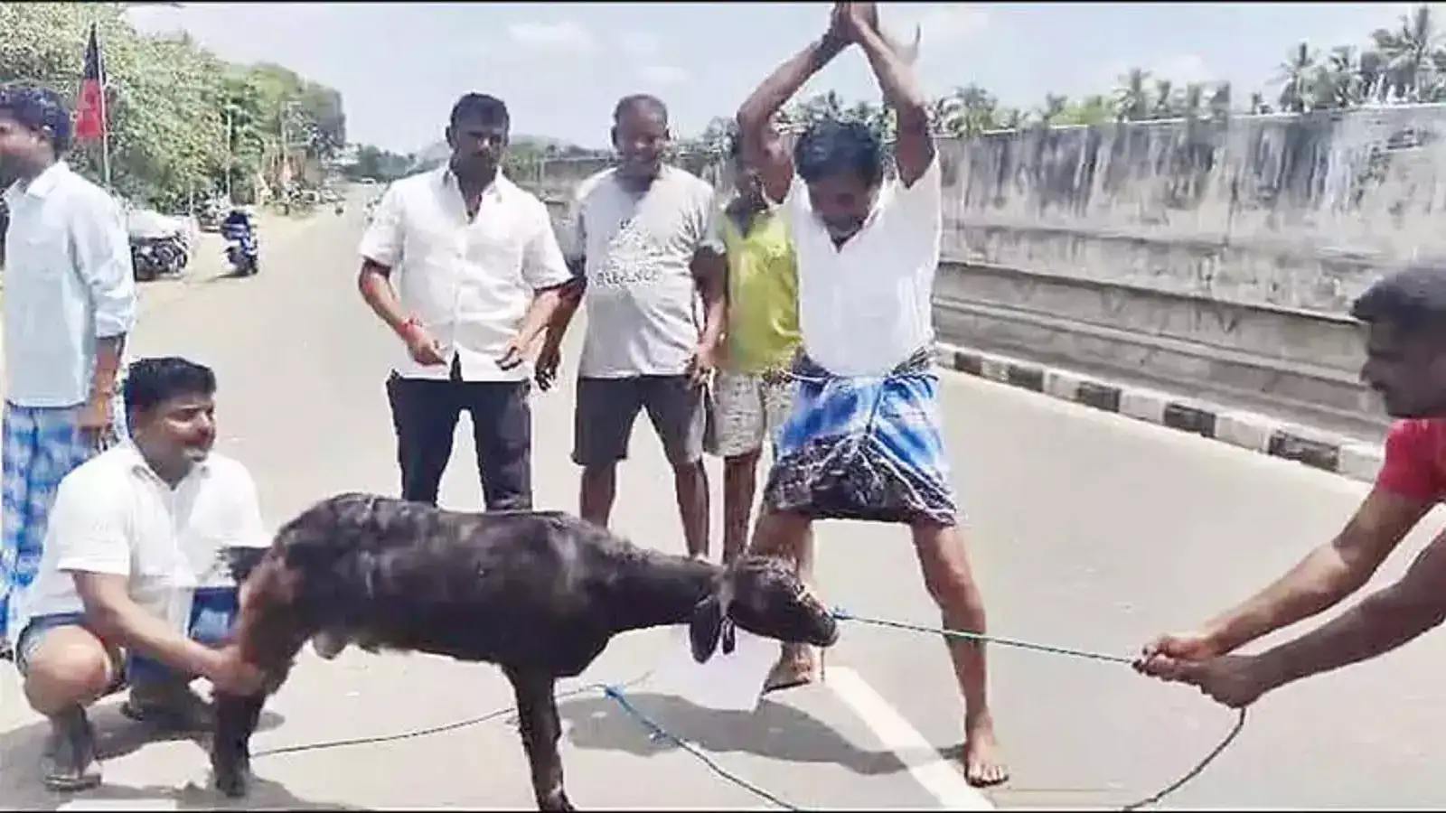 அண்ணாமலை படத்திற்கு முன்பு ஆடு வெட்டுவீர்கள்.. நாங்கள் அதை வேடிக்கை பார்க்கணுமா.. ஹைகோர்ட் உத்தரவு 