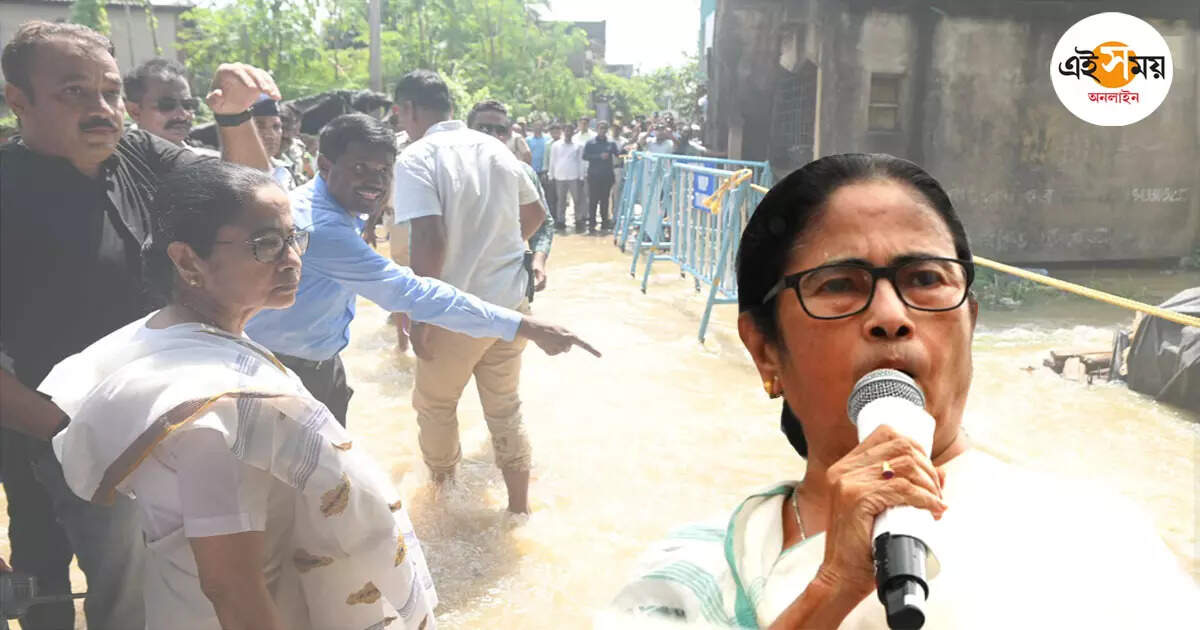 মমতা বন্দ্যোপাধ্যায়,বন্যা পরিস্থিতি দেখতে কেন্দ্র টিম না পাঠানোয় ক্ষোভ মুখ্যমন্ত্রীর – mamata banerjee blame central government for not sending inspection team after flood