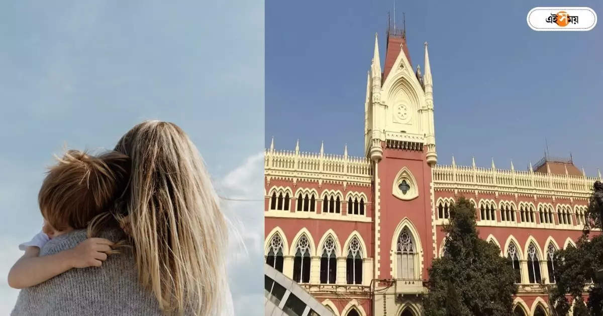 Calcutta High Court : জন্মদাত্রী কে? ছেলের পথ আগলে মৌলিক অধিকার – calcutta high court rejected swiss citizen appeal for find out his birth mother