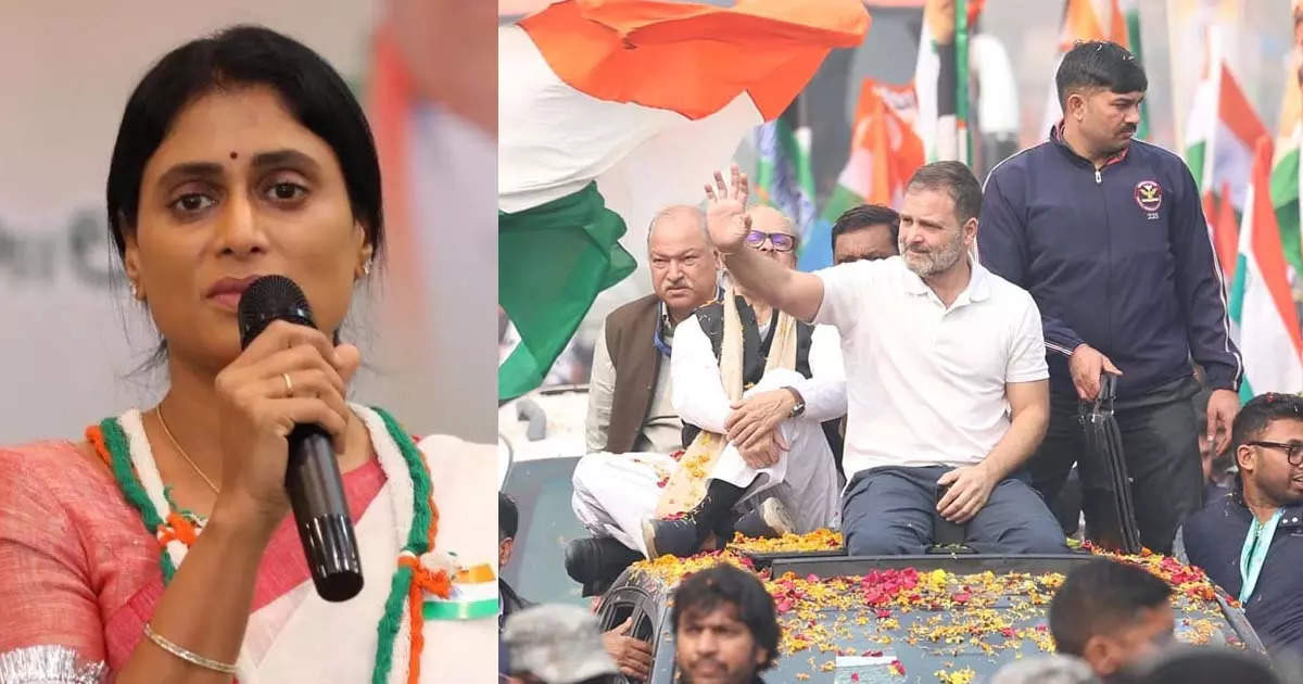 Rahul Gandhi’s Yatra is getting maximum donations from Andhra, are ‘Acche Din’ coming under the leadership of YS Sharmila?