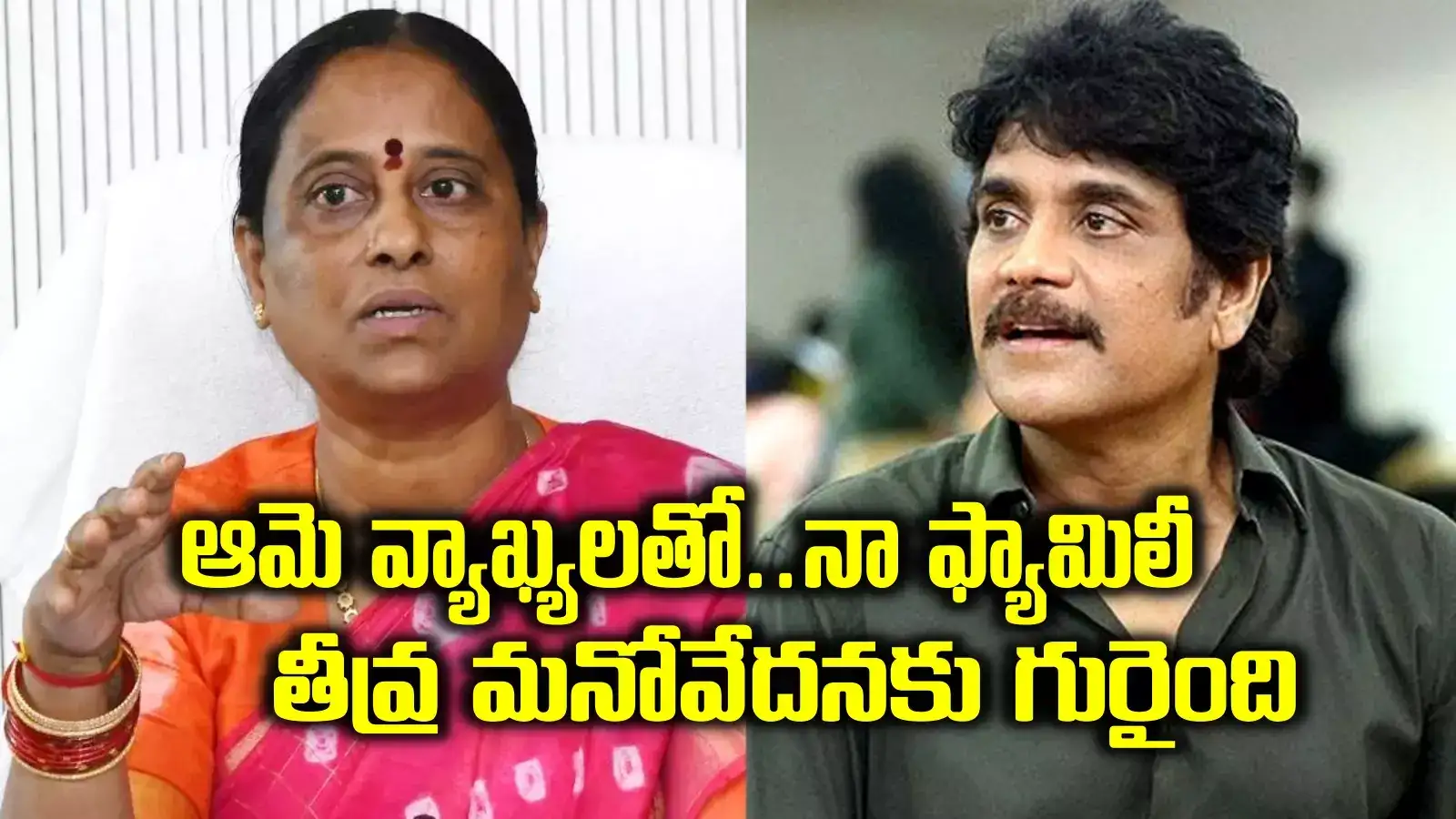 ఆ ఉద్దేశంతోనే నా ఫ్యామిలీపై కొండా సురేఖ తప్పుడు వ్యాఖ్యలు.. కోర్టులో నాగార్జున స్టేట్‌మెంట్