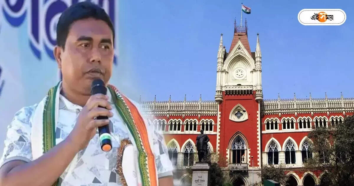 Calcutta High Court: কেন পুলিশের হেফাজতে শাহজাহান, প্রশ্ন কোর্টের – the high court questioned how police took sheikh shahjahan into their custody
