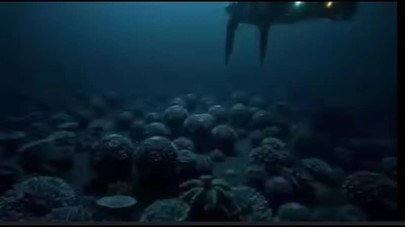 இந்தியாவின் முதல் ஆழ்கடல் நுண்ணுயிர் சேமிப்பகம்! 