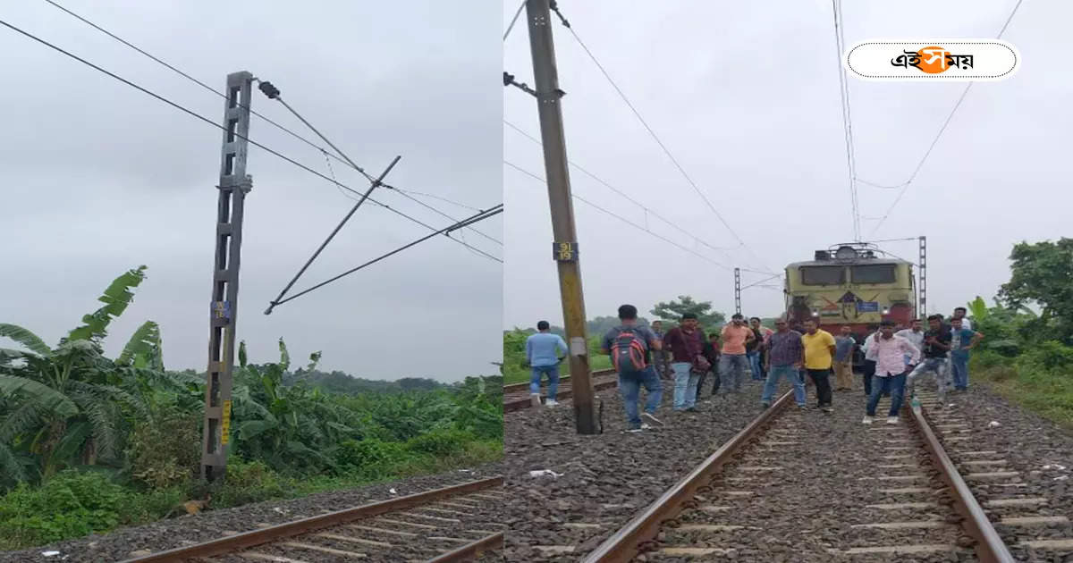 হনুমান লাফিয়ে পড়ায় ছিঁড়ল ওভারহেড তার! কৃষ্ণনগর শাখায় রেল যোগাযোগ ব্যাহত! ভোগান্তি যাত্রীদের