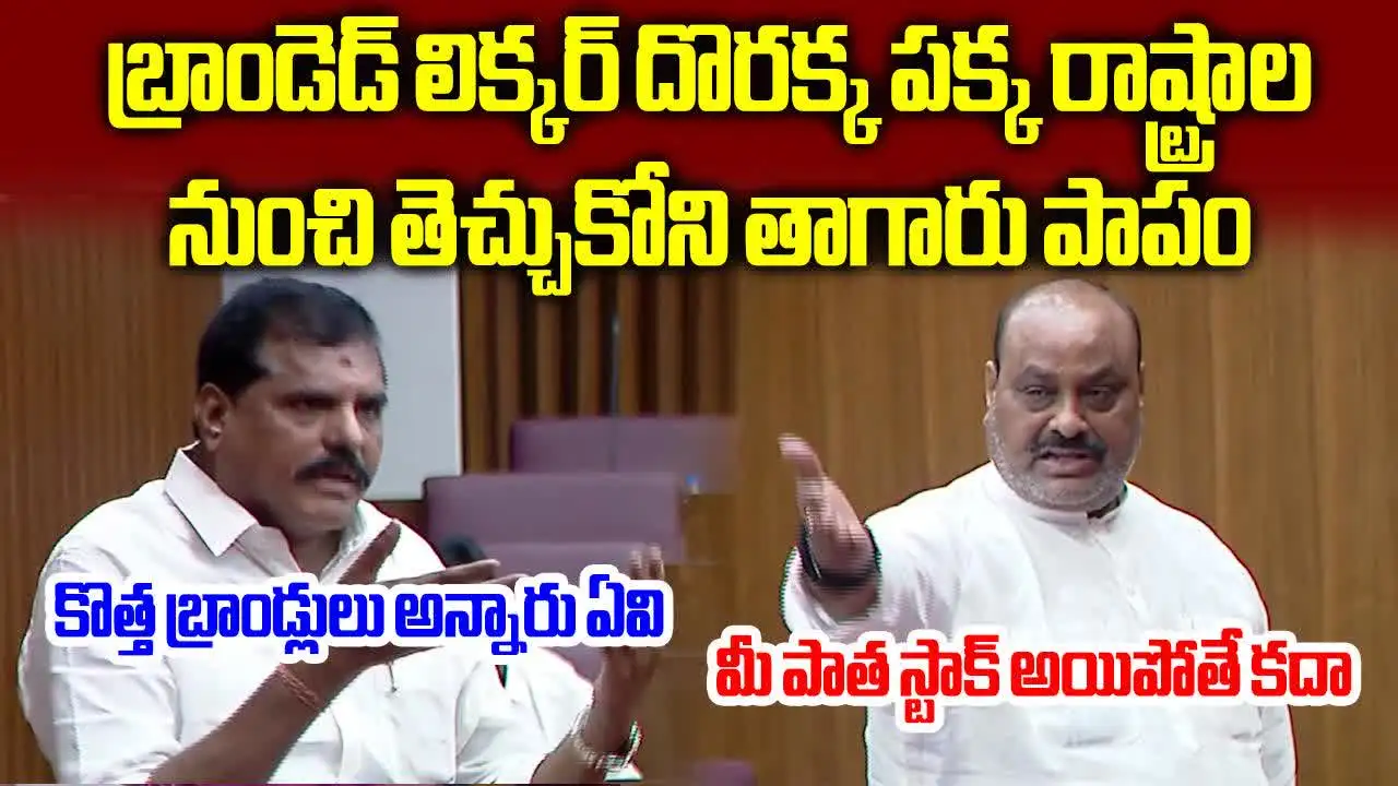 వైసీపీ వాళ్లకు ఆ హక్కు లేదు.. బొత్సకు అచ్చెన్నాయుడు కౌంటర్