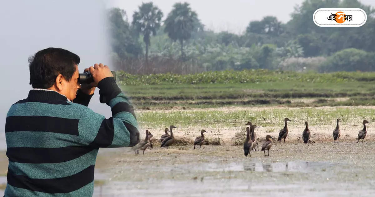 Chupi Pakhiralay : পরিযায়ী পাখি বাঁচাতে সচেতনতায় বন দফতর – forest department has started awareness campaign to save migratory birds in purbasthali chupi bird sanctuary