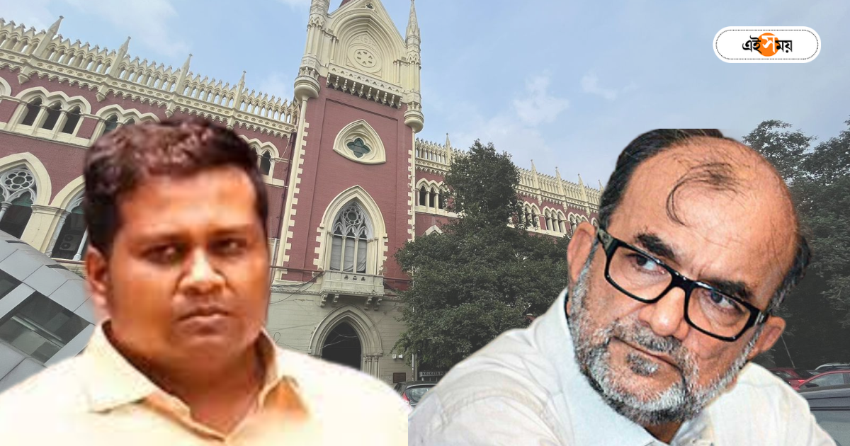 Debanjan Deb : ‘পুলিশ নথি লোপাট করেছে…’, ভুয়ো আইএএস দেবাঞ্জনের নিরাপত্তা চেয়ে সওয়াল বিকাশের – calcutta high court doesnot give order to deploy central security to fake ias debanjan deb