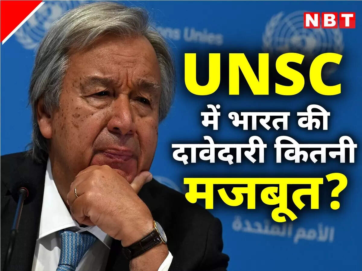 सुरक्षा परिषद् में भारत की स्थायी सदस्यता की दावेदारी को समर्थन! जानें क्या बोले संयुक्त राष्ट्र प्रमुख सुरक्षा परिषद् में भारत की स्थायी सदस्यता की दावेदारी को समर्थन! जानें क्या बोले संयुक्त राष्ट्र प्रमुख