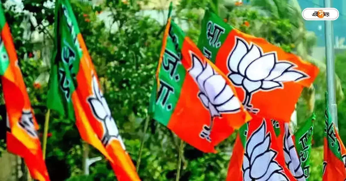 BJP In West Bengal : সমস্ত সিটে প্রার্থী দিতে না পেরে কি ভোট কাটার পথ, পঞ্চায়েতে বিজেপির কৌশল – bjp new plan to defeat trinamool congress in panchayat election