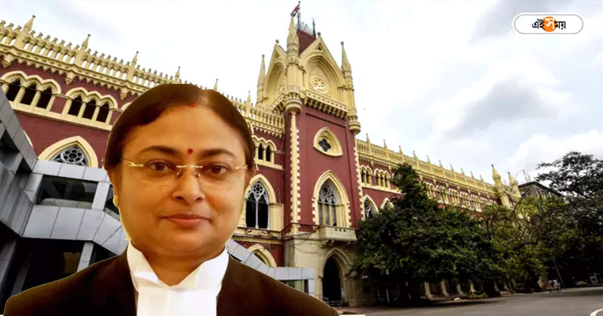 Calcutta High Court News : HIDCO-র জমিতে তৃণমূলের পার্টি অফিস! ভেঙে ফেলার নির্দেশ বিচারপতি অমৃতা সিনহার – calcutta high court ordered for demolition of illegal tmc party office on hidco land newtown